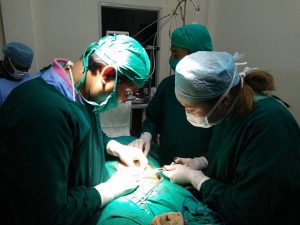 Dr. Kandary's Nursing & Maternity Home