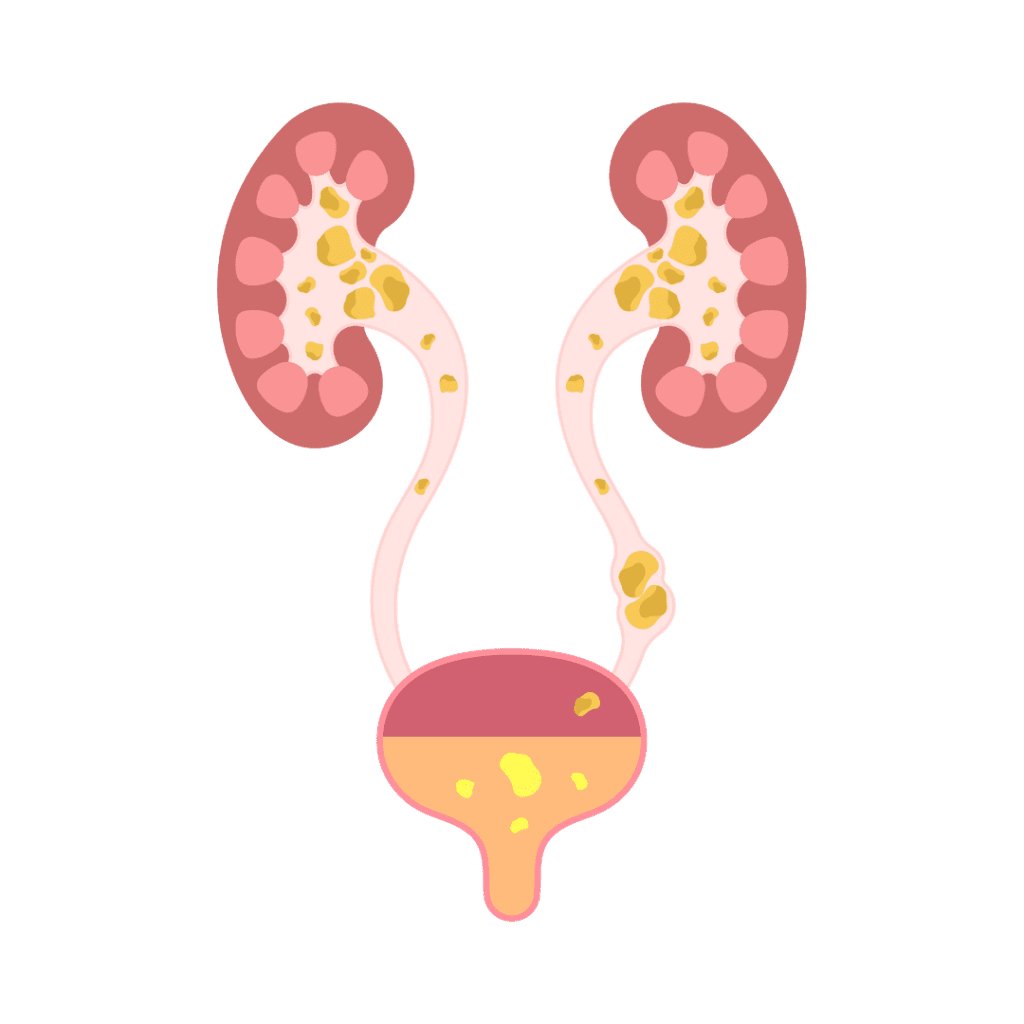 Dr. Kandary's Nursing & Maternity Home