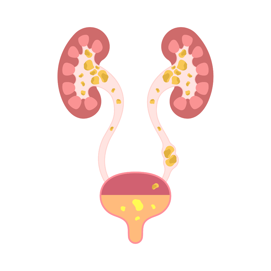 Home | Dr. Kandary's Nursing & Maternity Home Dr. Kandary's Nursing & Maternity Home